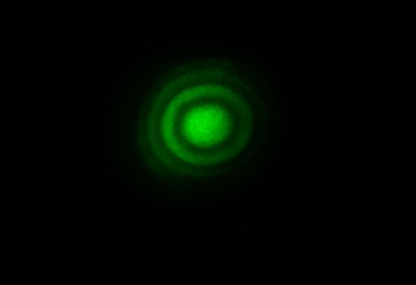 Linear fringe pattern  green laser lines on dark background